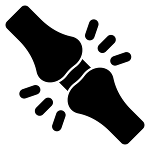nosidelko-swk-ikona-bol